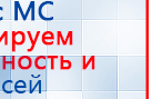 Пояс электрод купить в Егорьевске, Электроды Меркурий купить в Егорьевске, Скэнар официальный сайт - denasvertebra.ru
